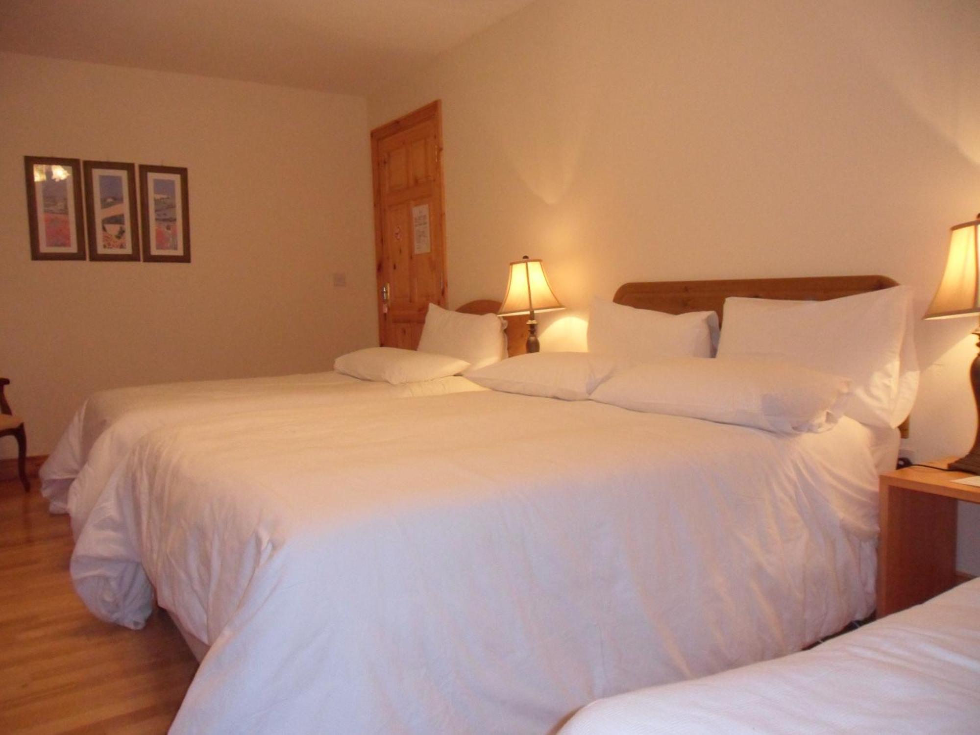 Forest Park House B&B Boyle Buitenkant foto