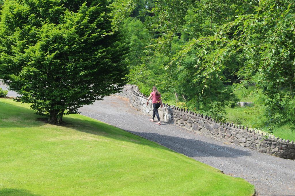 Forest Park House B&B Boyle Buitenkant foto